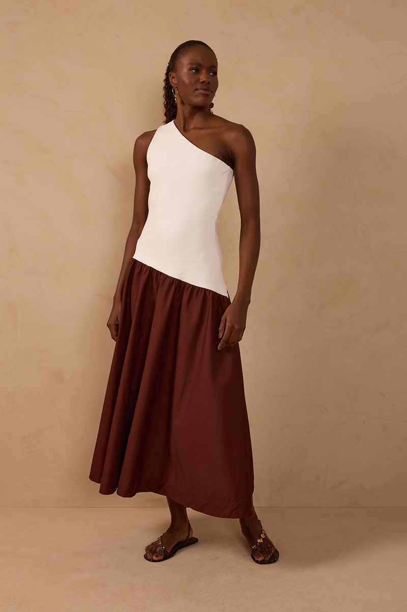 Brown Bicolor One-Shoulder Maxi Dress_1