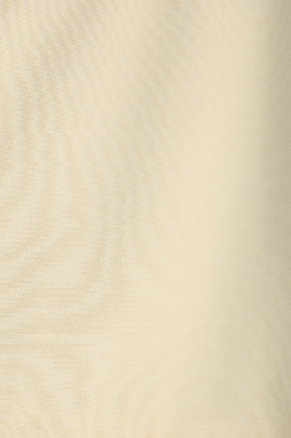 Embroidered Cotton Midi Dress_8