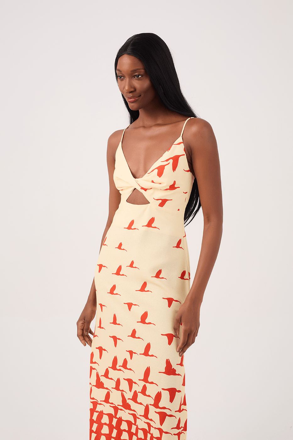 Guarás Print Linen Midi Dress