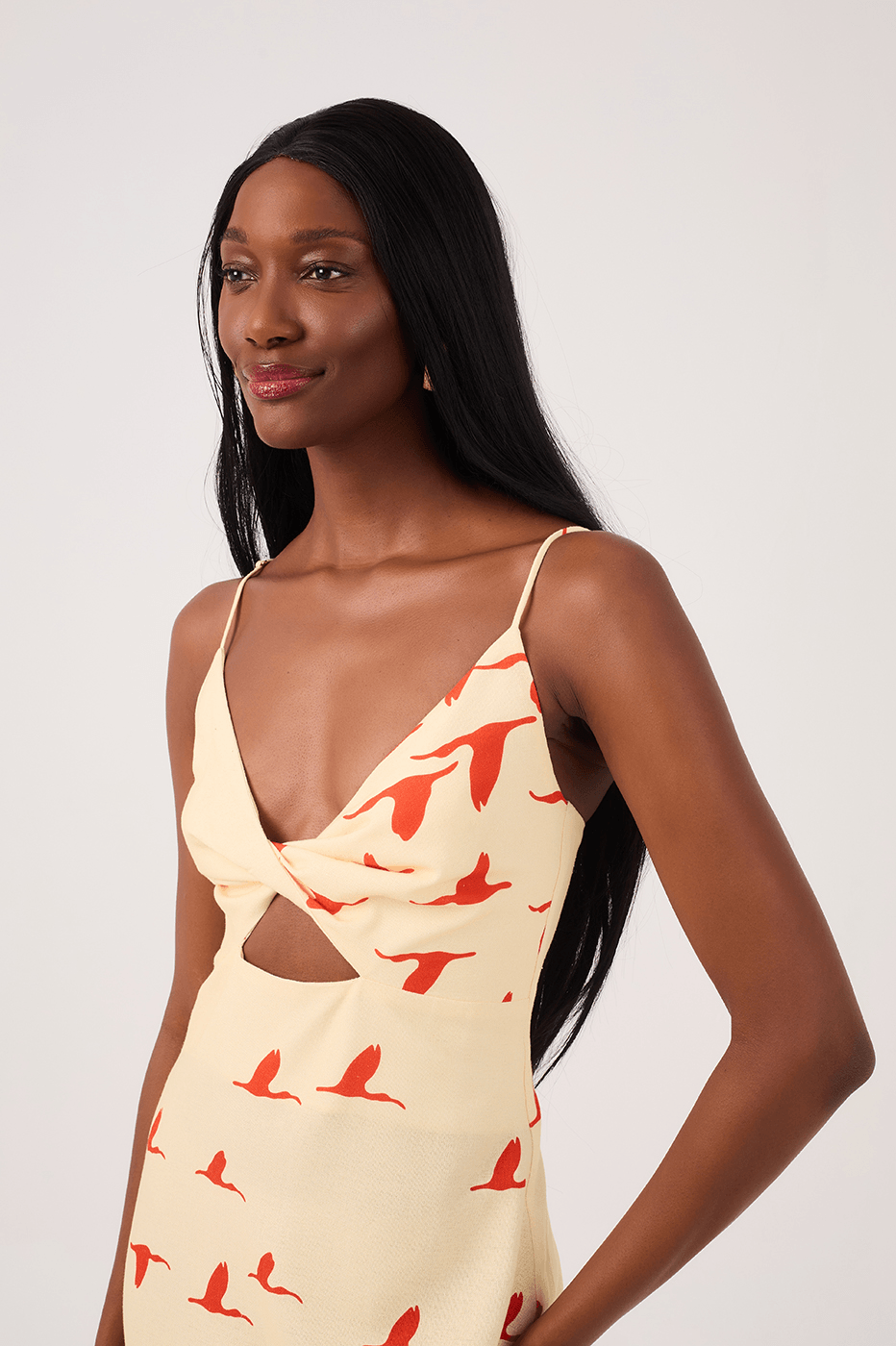 Guarás Print Linen Midi Dress