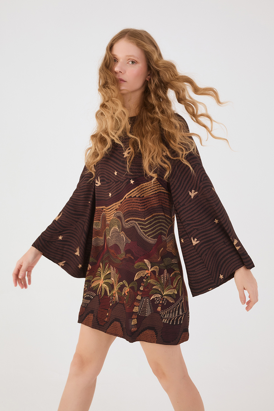 Brown Cena Carioca Crew Neck Kimono Sleeves Back Ties Mini Dress