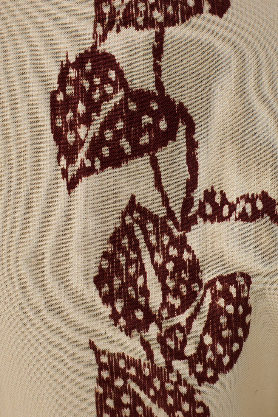 Cambraia Inspira Print Dress_8