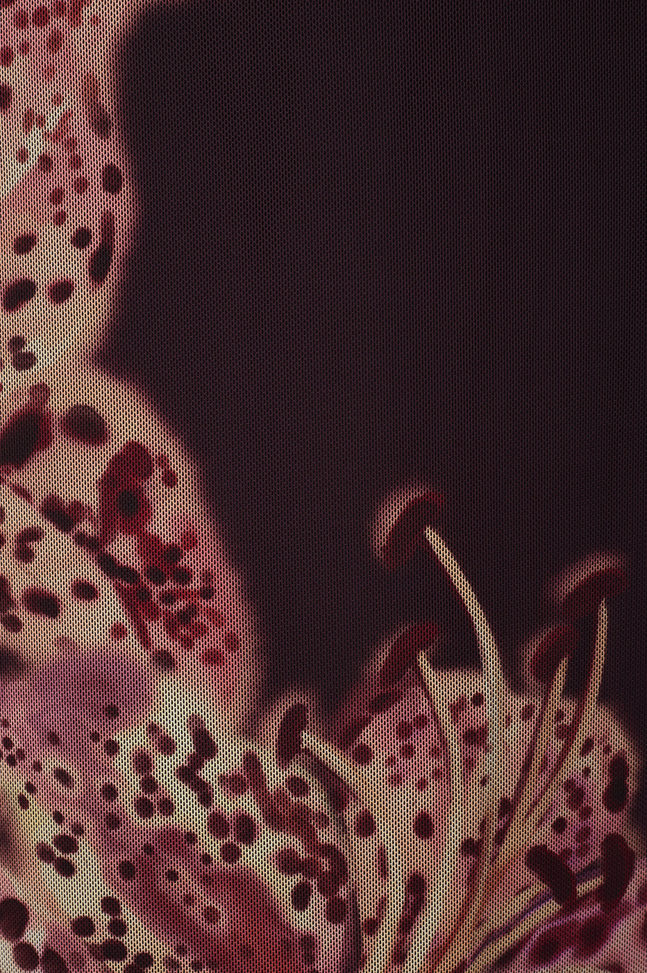 Tulle Botânica Print Dress_7