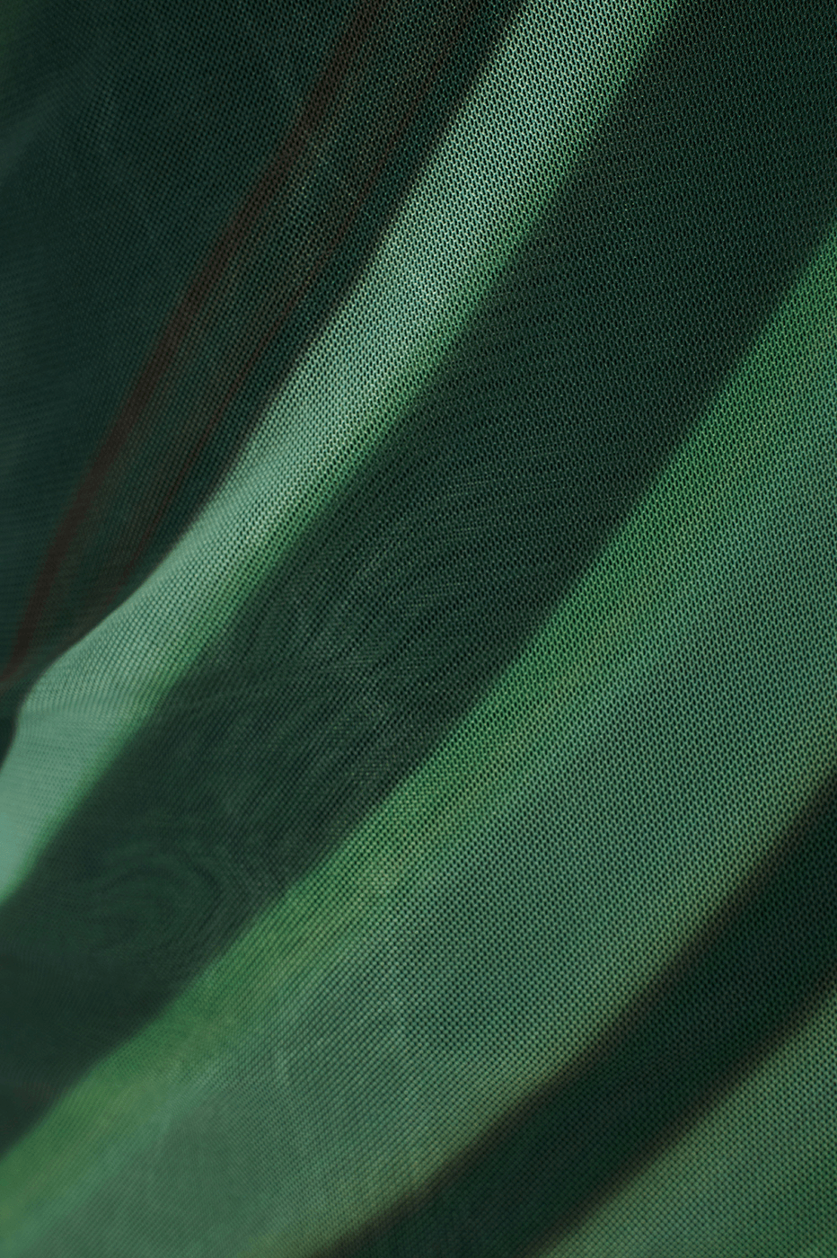 Green Floresta Ruched Tulle Maxi Dress