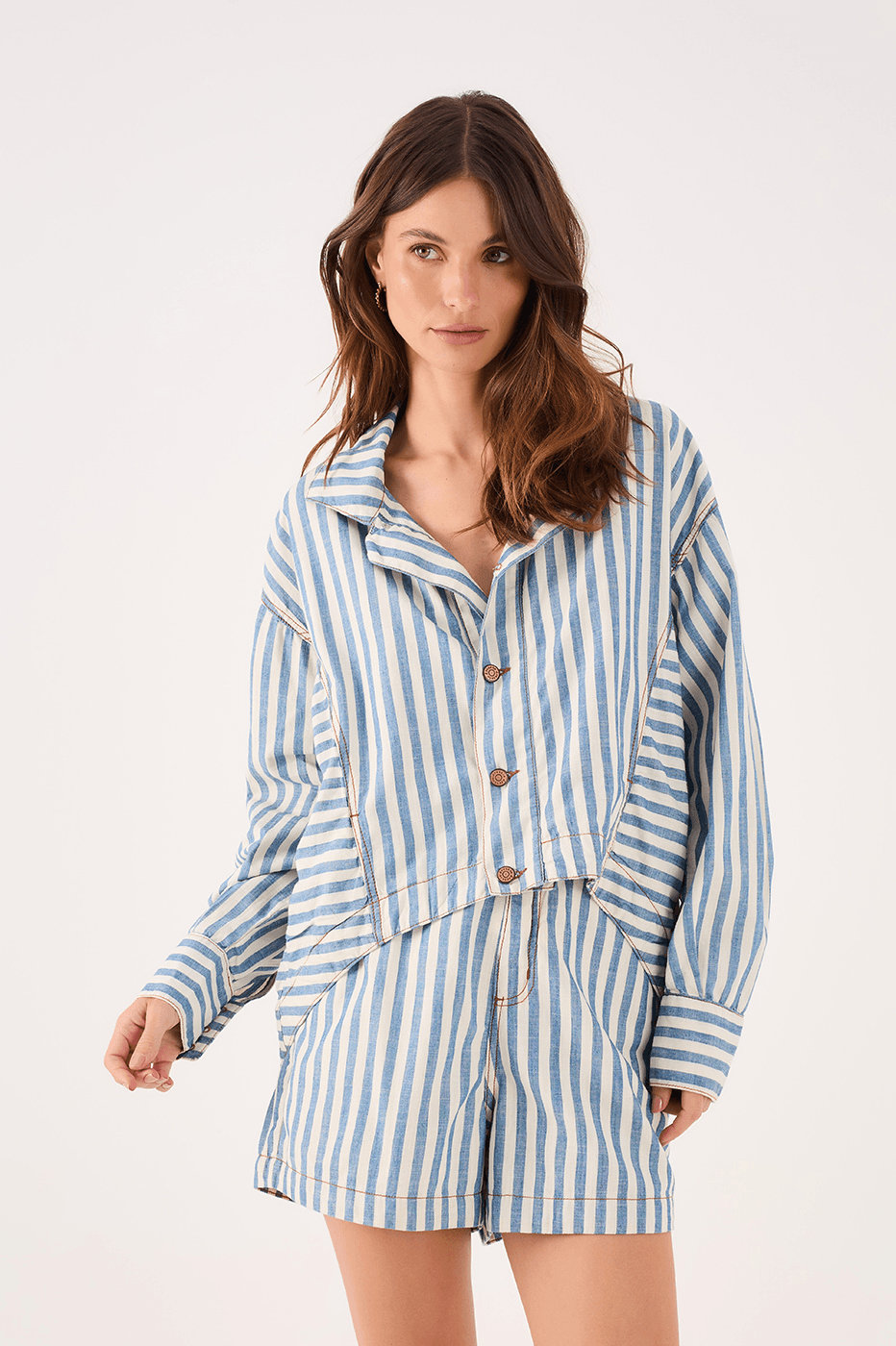 Denim Stripe Twill Shirt_1