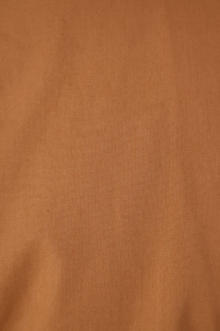 Beige Leme Foliage Embroidered Cotton Blouse_6