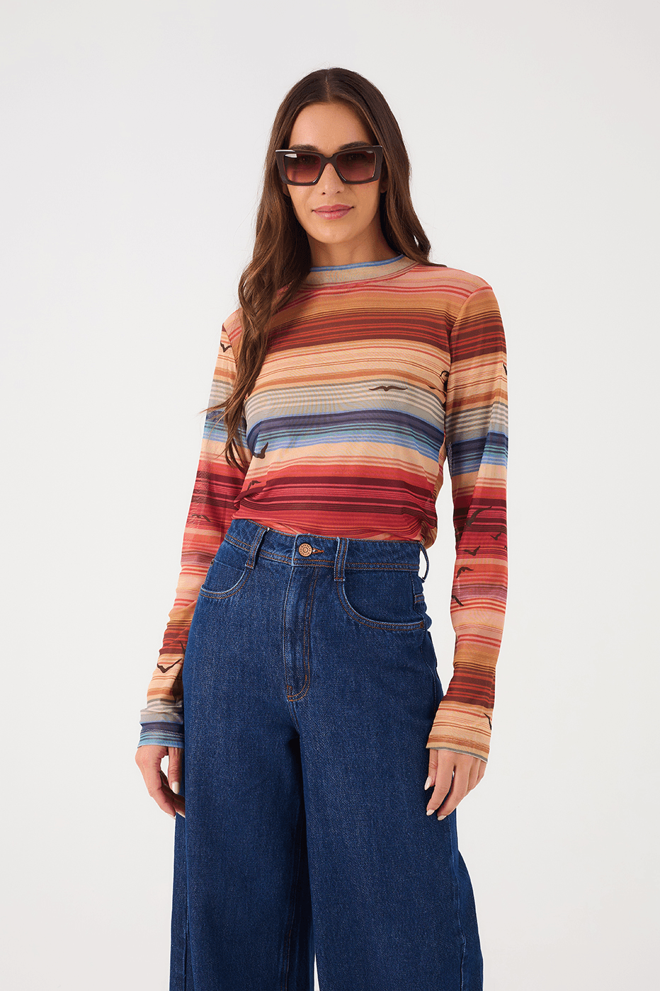 Multicolor Arpoador Boat Neck Long Sleeve Tulle Blouse