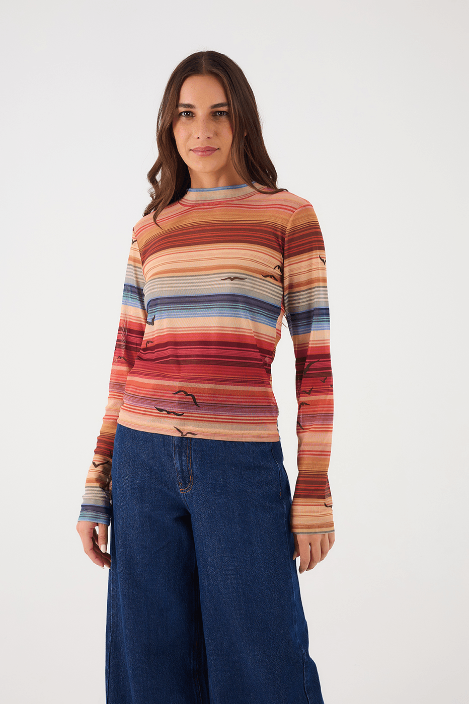 Multicolor Arpoador Boat Neck Long Sleeve Tulle Blouse