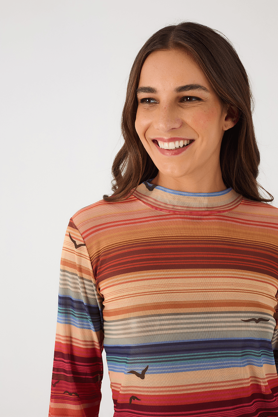 Multicolor Arpoador Boat Neck Long Sleeve Tulle Blouse