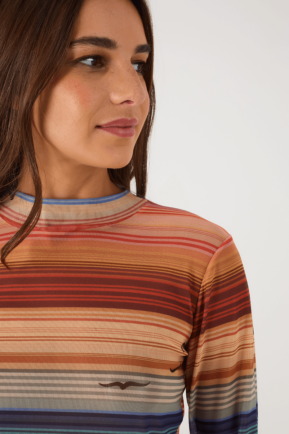 Multicolor Arpoador Boat Neck Long Sleeve Tulle Blouse