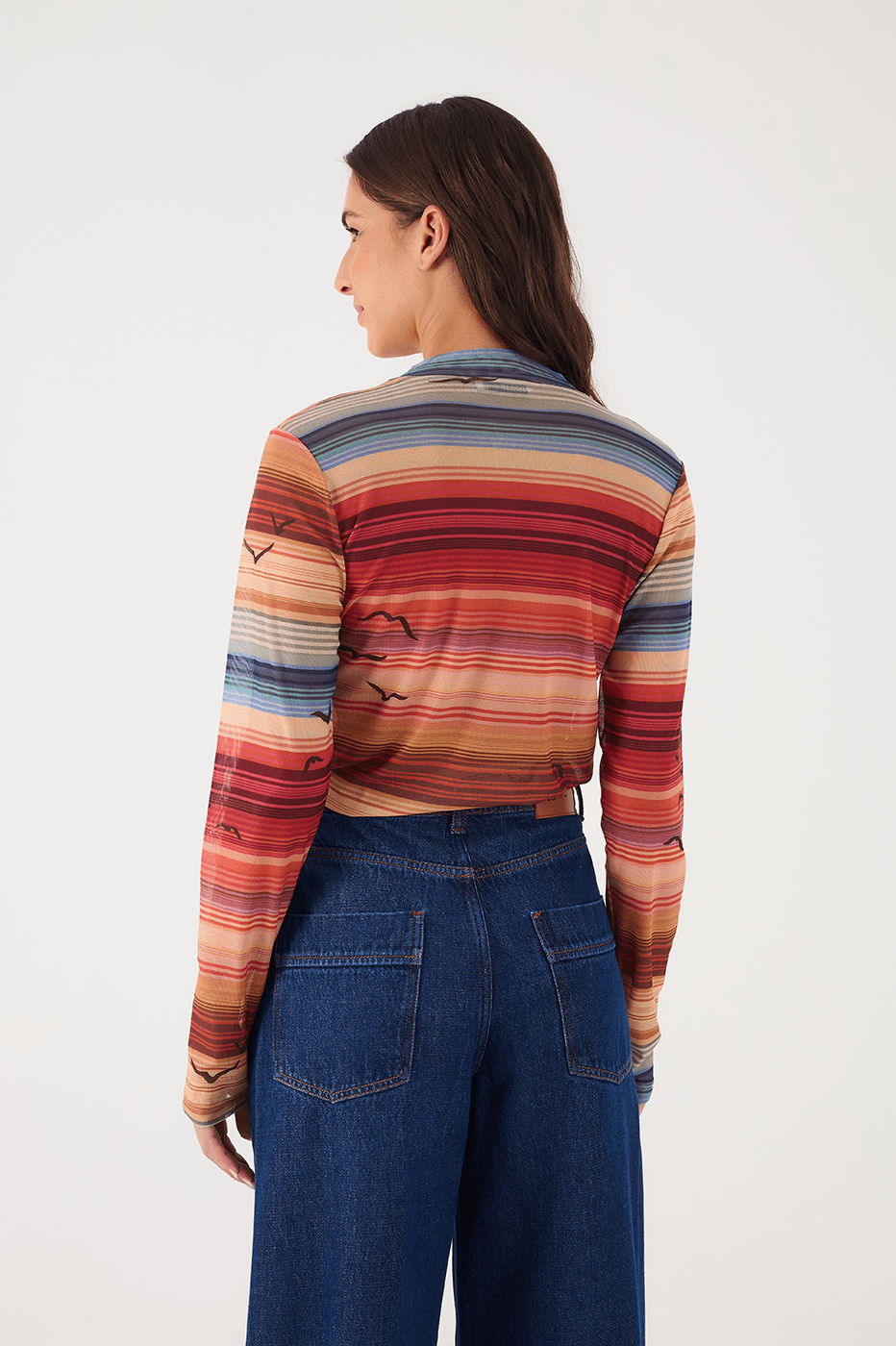 Multicolor Arpoador Boat Neck Long Sleeve Tulle Blouse