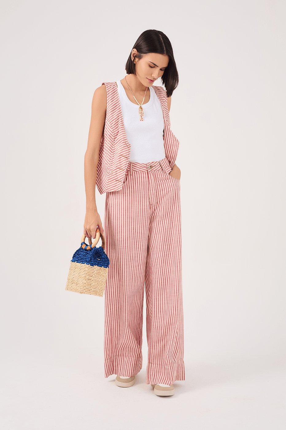 Guará Stripe Twill Pants_2