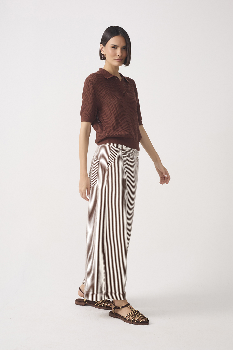 Brown Stripes Wide-Leg Twill Pants_3