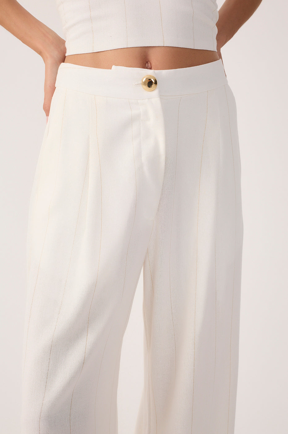 Off-White Pleated Lurex Stripes Linen Pants_5