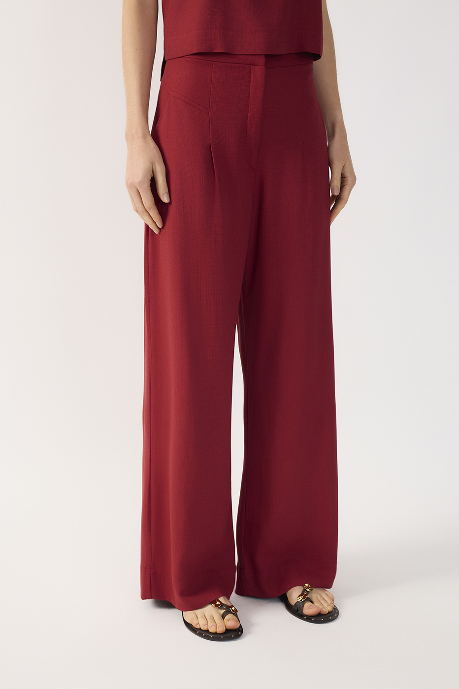 Pleated Wide-Leg Pants_5