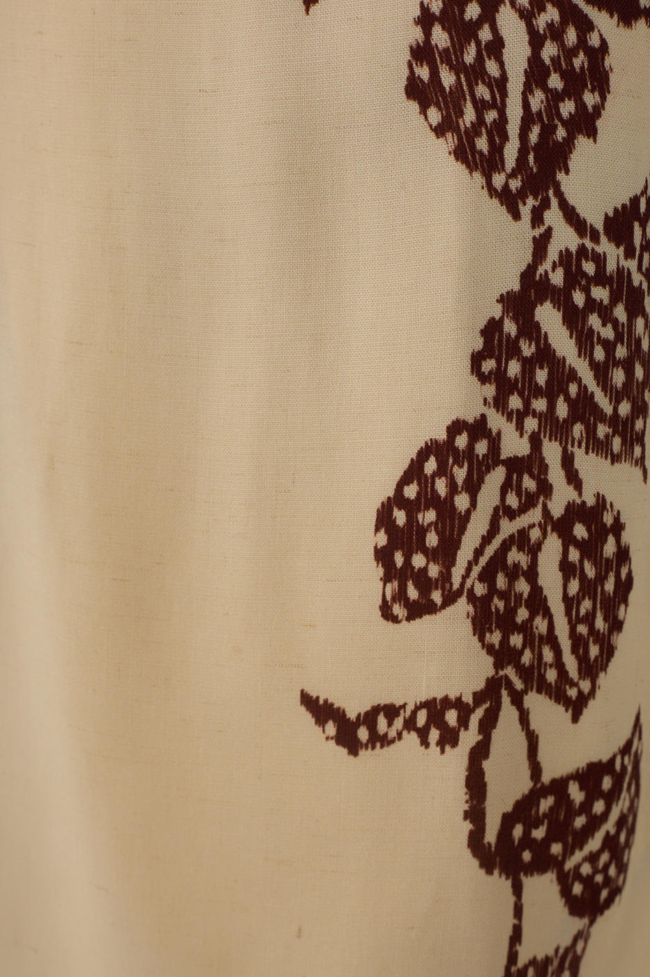 Cambraia Inspira Print Short