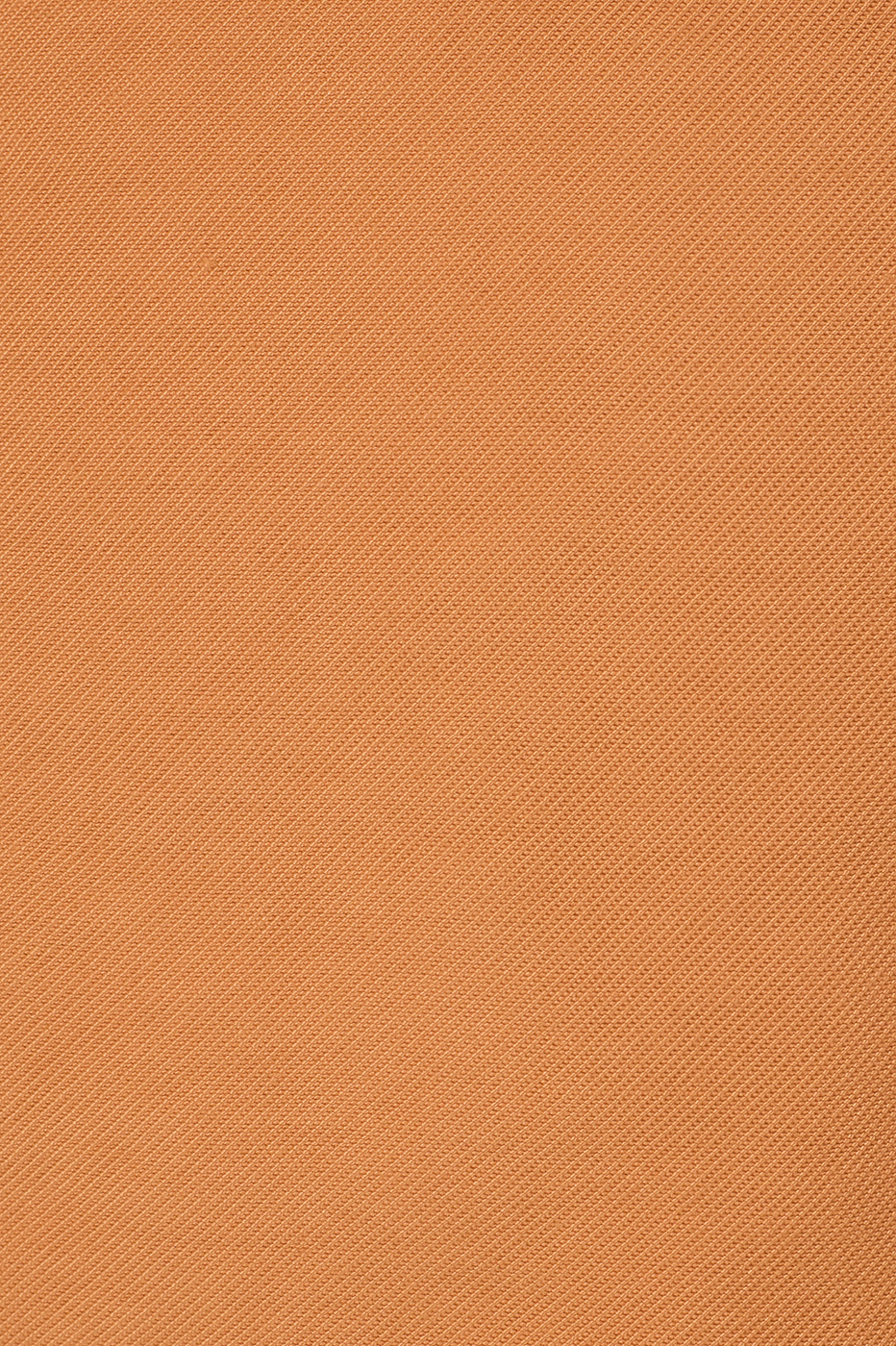 Tailored Pleats Bermuda_6