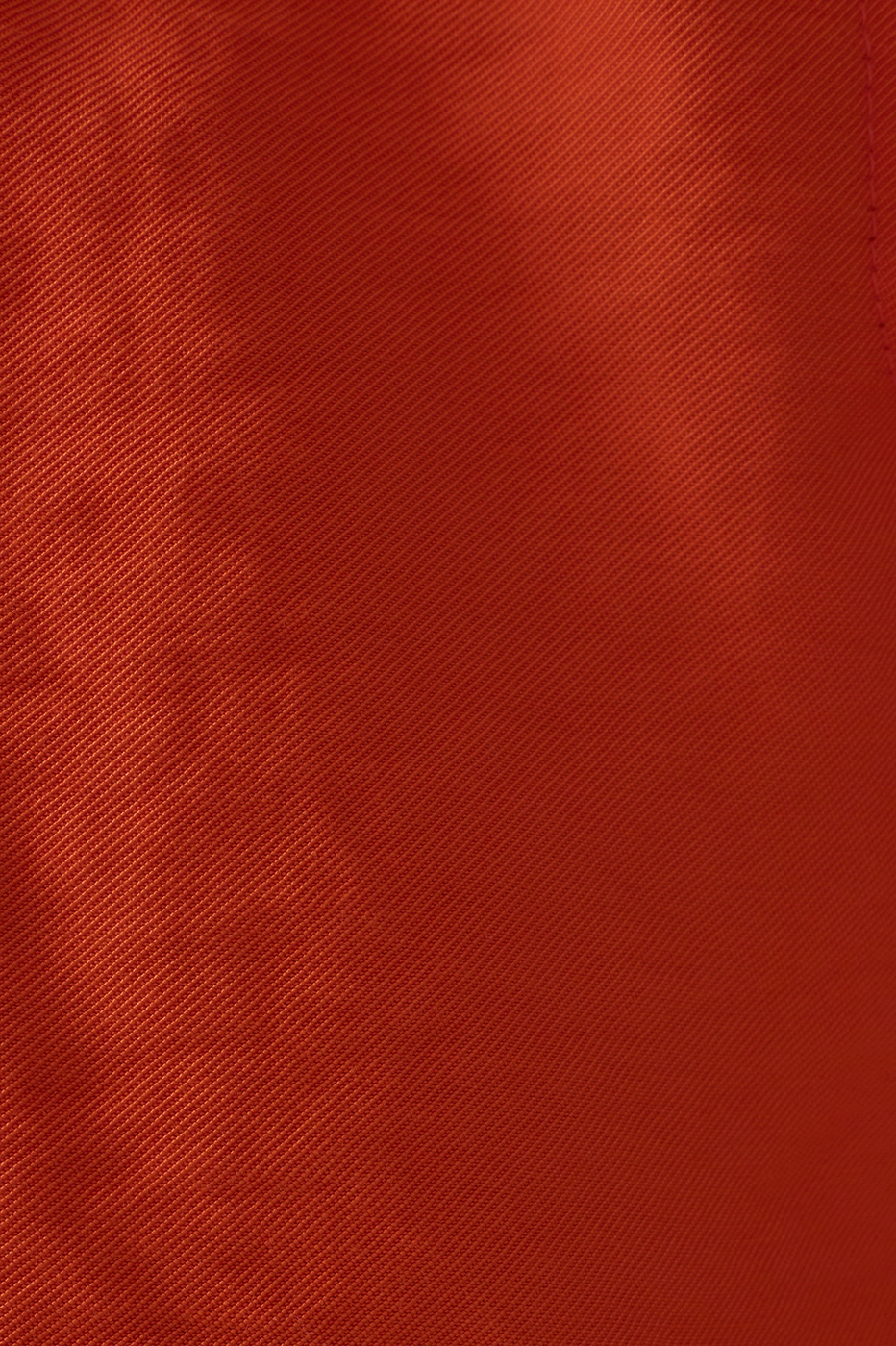 Red Side Pockets Pleated Shorts_6