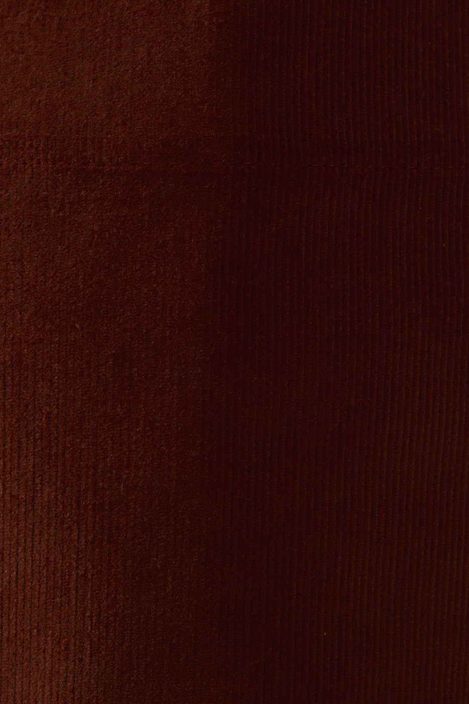 Corduroy Velvet Shorts_6