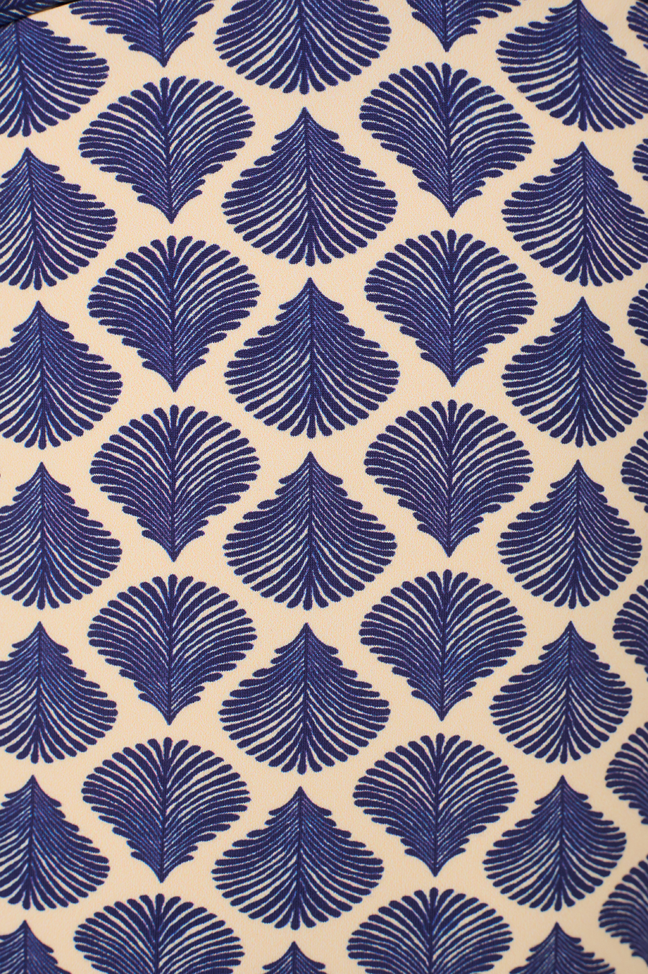 Shells Print Swimsuit_7