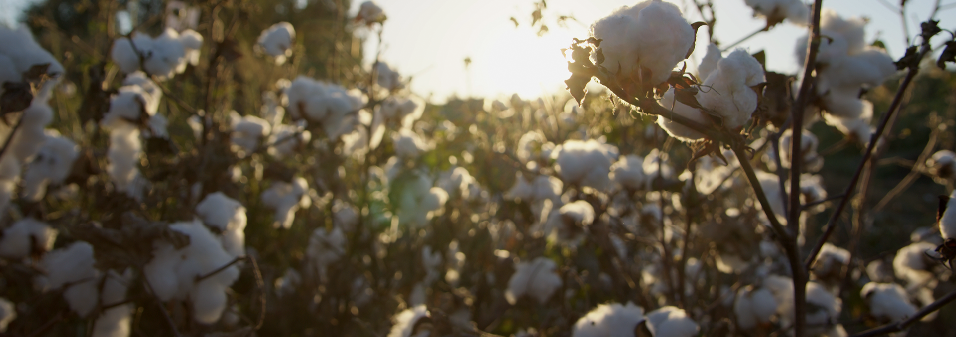 Sustainable fabric craftsmanship at Dress To