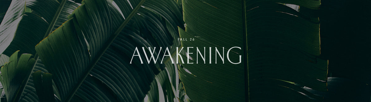 Fall 26 Awakening collection wide banner with the campaign title in white lettering over dark green tropical banana leaves.