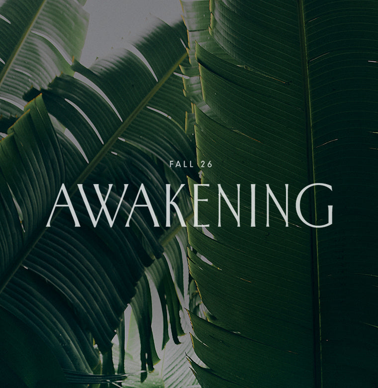 Fall 26 Awakening collection banner with the campaign title in white lettering over dark green tropical banana leaves.